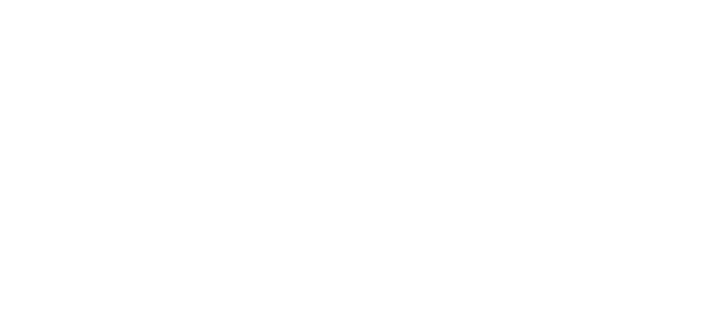 Your Company